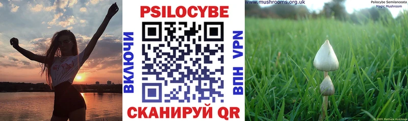 Псилоцибиновые грибы Cubensis Звенигород